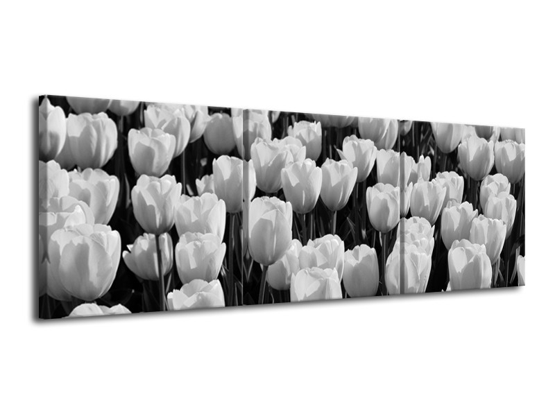 Canvas Schilderij Bloem, Tulpen | Zwart, Grijs | 120x40cm 3Luik