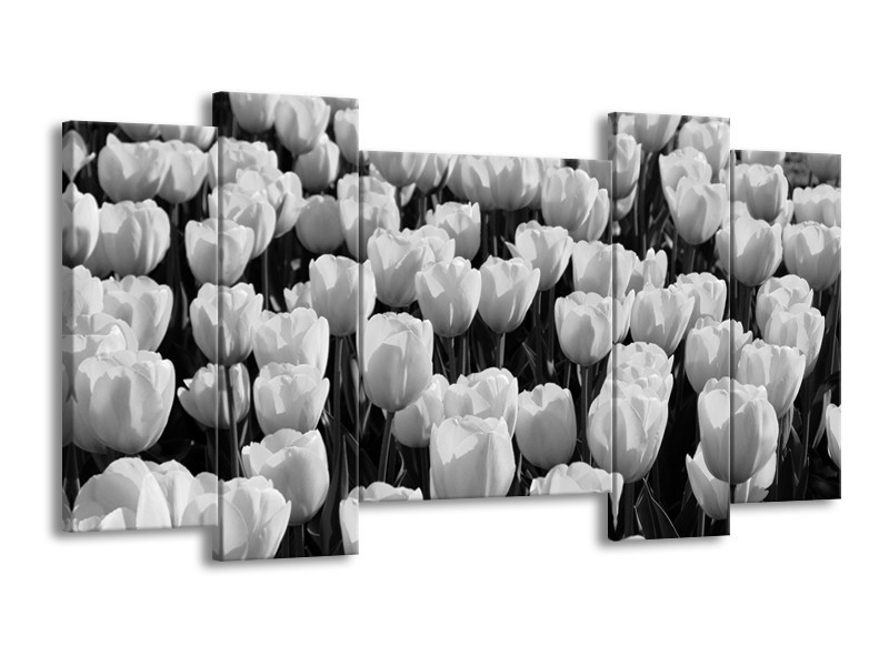 Glasschilderij Bloem, Tulpen | Zwart, Grijs | 120x65cm 5Luik