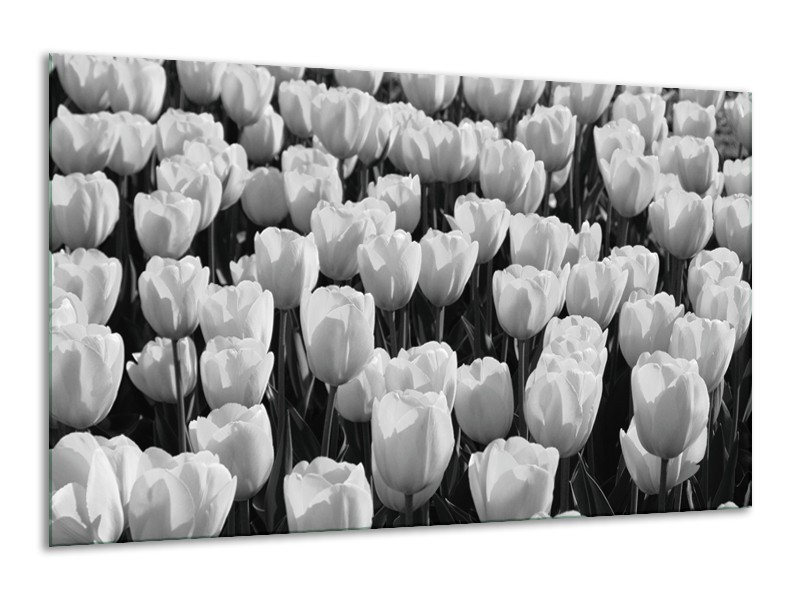 Canvas Schilderij Bloem, Tulpen | Zwart, Grijs | 120x70cm 1Luik