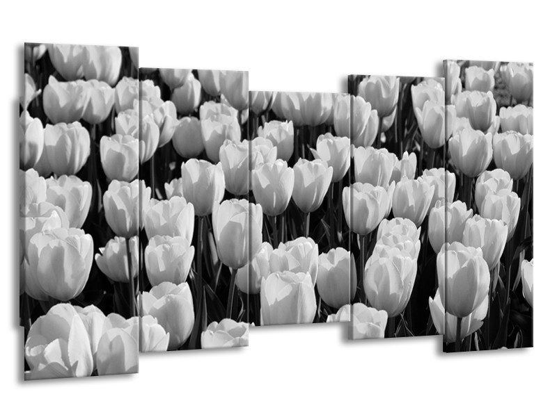 Canvas Schilderij Bloem, Tulpen | Zwart, Grijs | 150x80cm 5Luik