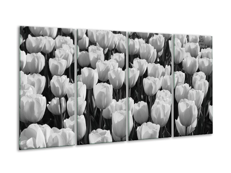 Glasschilderij Bloem, Tulpen | Zwart, Grijs | 160x80cm 4Luik