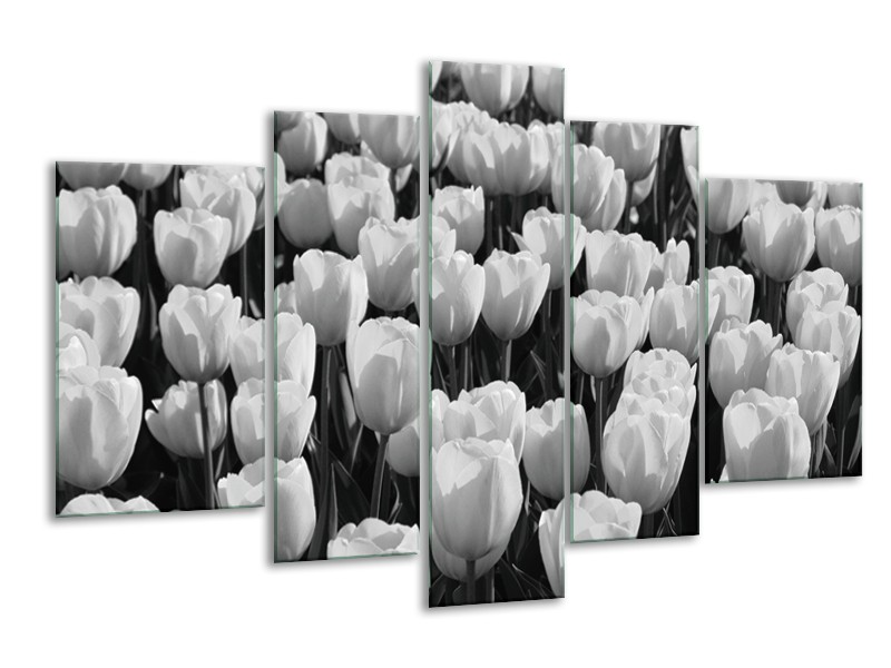 Glasschilderij Bloem, Tulpen | Zwart, Grijs | 170x100cm 5Luik