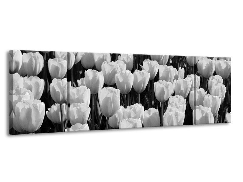 Glasschilderij Bloem, Tulpen | Zwart, Grijs | 170x50cm 3Luik