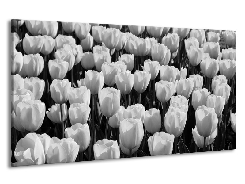 Canvas Schilderij Bloem, Tulpen | Zwart, Grijs | 190x100cm 1Luik