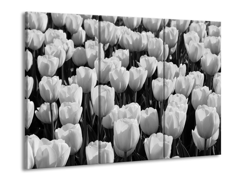 Canvas Schilderij Bloem, Tulpen | Zwart, Grijs | 60x90cm 3Luik