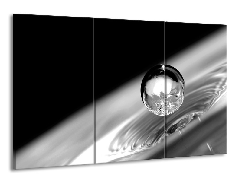 Canvas Schilderij Macro | Zwart, Grijs, Zilver | 165x100cm 3Luik