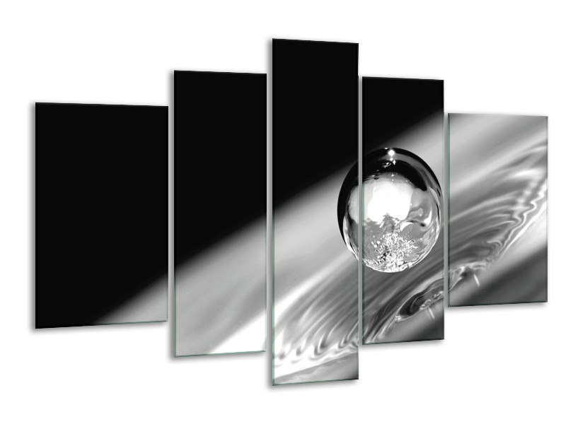 Glasschilderij Macro | Zwart, Grijs, Zilever | 170x100cm 5Luik