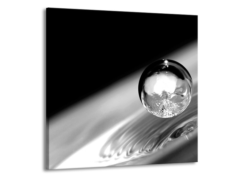 Glasschilderij Macro | Zwart, Grijs, Zilever | 50x50cm 1Luik