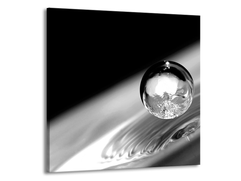 Glasschilderij Macro | Zwart, Grijs, Zilever | 70x70cm 1Luik