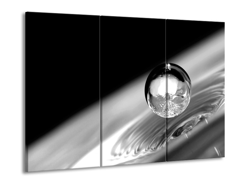 Glasschilderij Macro | Zwart, Grijs, Zilever | 60x90cm 3Luik