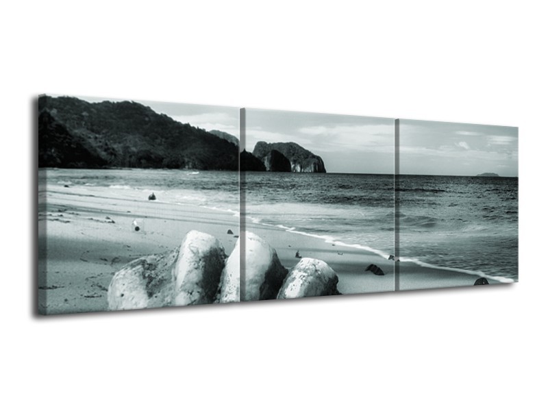 Glasschilderij Schelp, Strand | Grijs, Groen | 120x40cm 3Luik