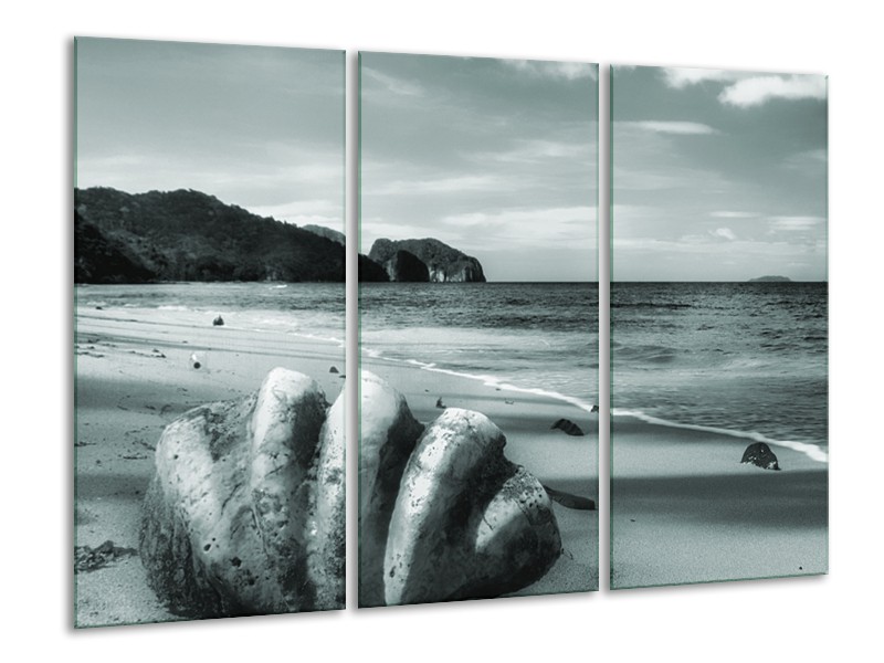 Glasschilderij Schelp, Strand | Grijs, Groen | 120x80cm 3Luik