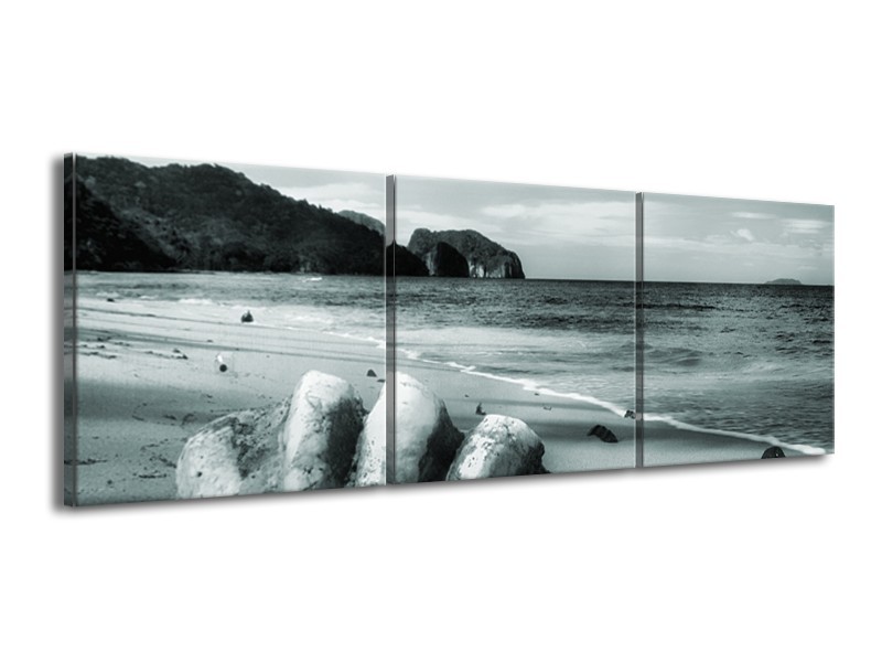 Canvas Schilderij Schelp, Strand | Grijs, Groen | 150x50cm 3Luik