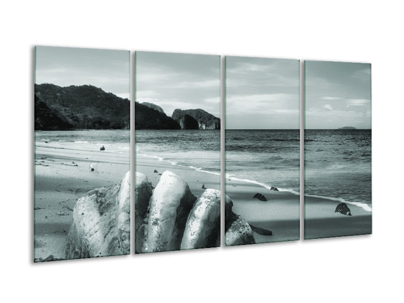 Glasschilderij Schelp, Strand | Grijs, Groen | 160x80cm 4Luik