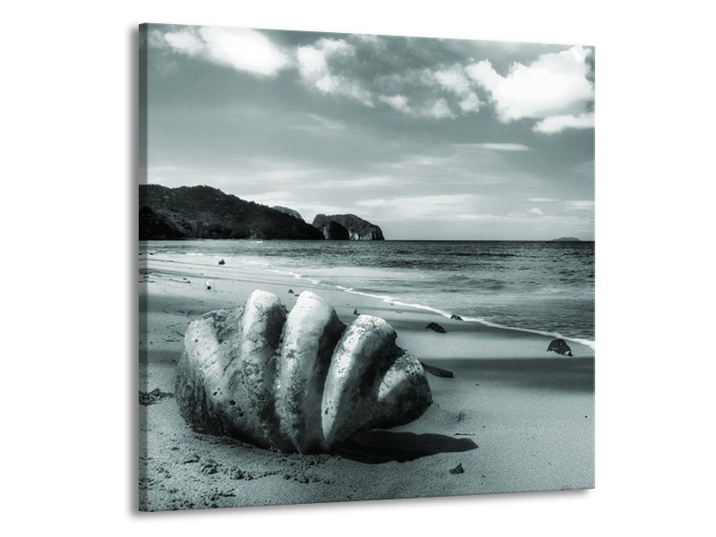 Glasschilderij Schelp, Strand | Grijs, Groen | 50x50cm 1Luik