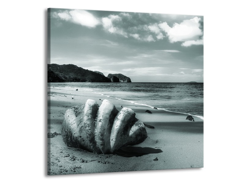 Glasschilderij Schelp, Strand | Grijs, Groen | 70x70cm 1Luik