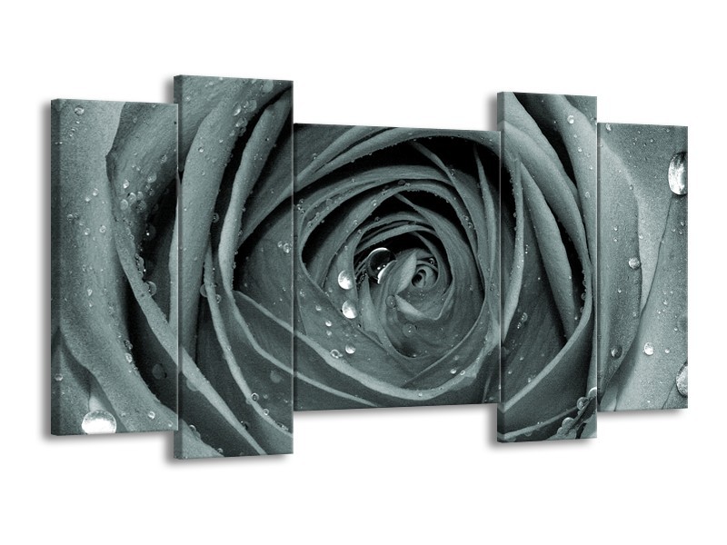 Canvas Schilderij Roos,Bloem | Grijs, Groen | 120x65cm 5Luik