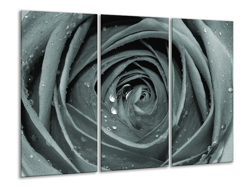 Canvas Schilderij Roos,Bloem | Grijs, Groen | 120x80cm 3Luik