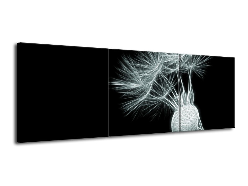 Glasschilderij Bloem | Grijs, Groen, Zwart | 120x40cm 3Luik