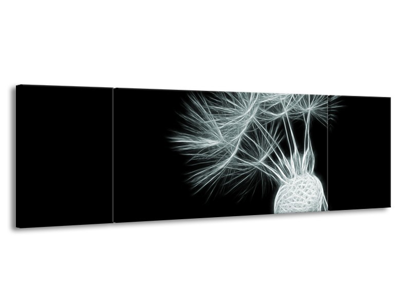 Glasschilderij Bloem | Grijs, Groen, Zwart | 170x50cm 3Luik