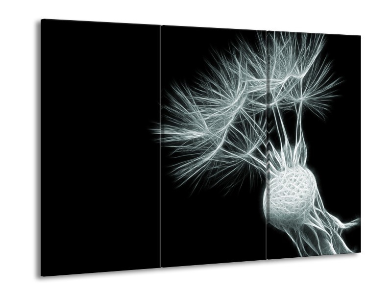 Glasschilderij Bloem | Grijs, Groen, Zwart | 60x90cm 3Luik