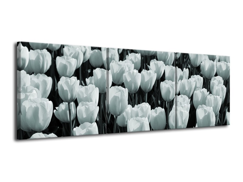 Canvas Schilderij Bloemen, Tulpen | Grijs, Groen | 120x40cm 3Luik