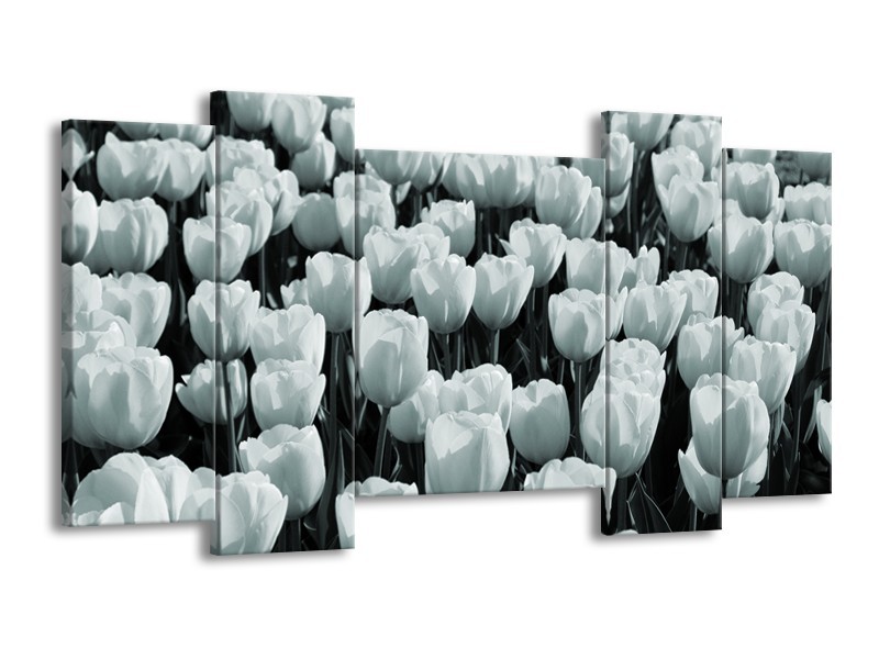 Canvas Schilderij Bloemen, Tulpen | Grijs, Groen | 120x65cm 5Luik