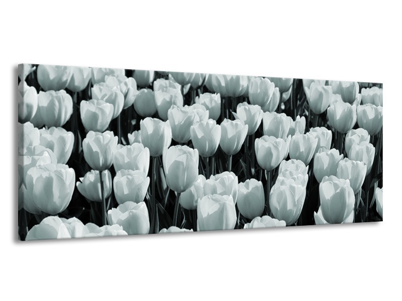 Canvas Schilderij Bloemen, Tulpen | Grijs, Groen | 145x58cm 1Luik