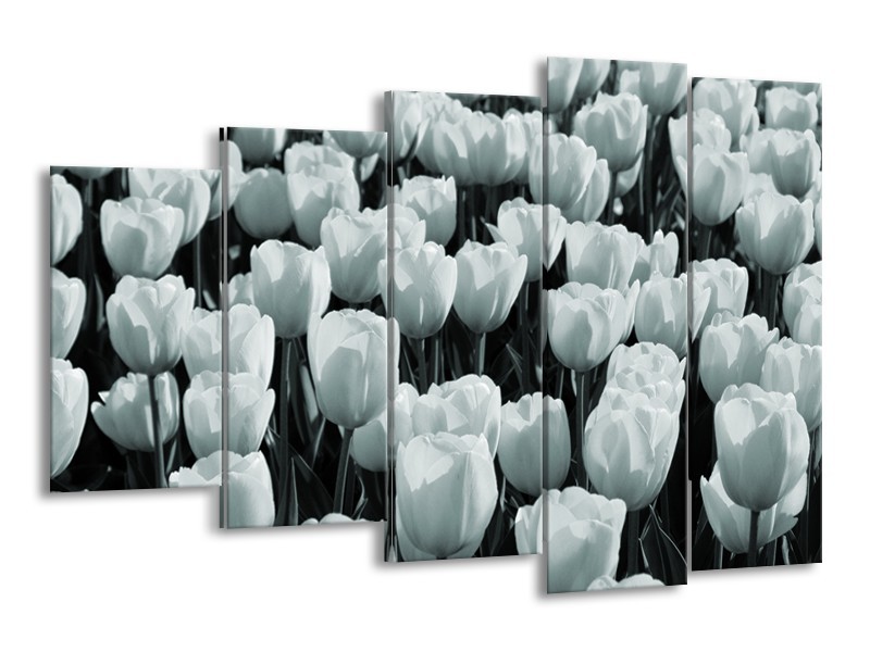 Glasschilderij Bloemen, Tulpen | Grijs, Groen | 150x100cm 5Luik