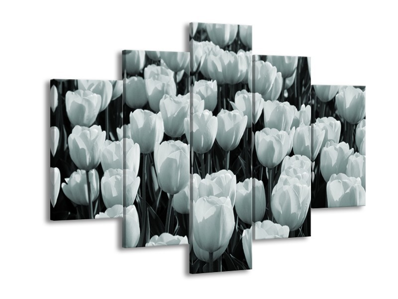 Canvas Schilderij Bloemen, Tulpen | Grijs, Groen | 150x105cm 5Luik