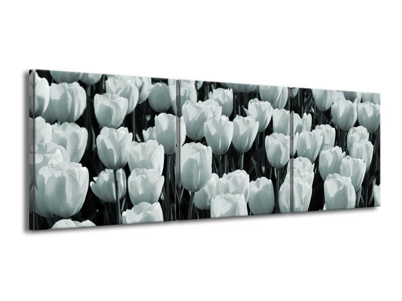 Canvas Schilderij Bloemen, Tulpen | Grijs, Groen | 150x50cm 3Luik