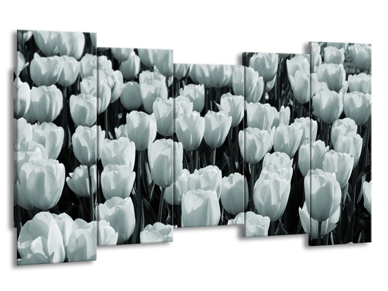 Glasschilderij Bloemen, Tulpen | Grijs, Groen | 150x80cm 5Luik