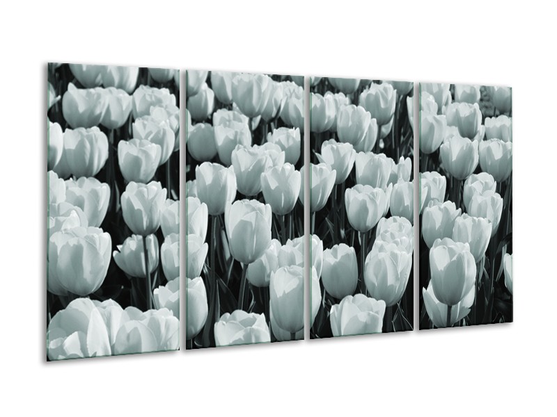 Glasschilderij Bloemen, Tulpen | Grijs, Groen | 160x80cm 4Luik