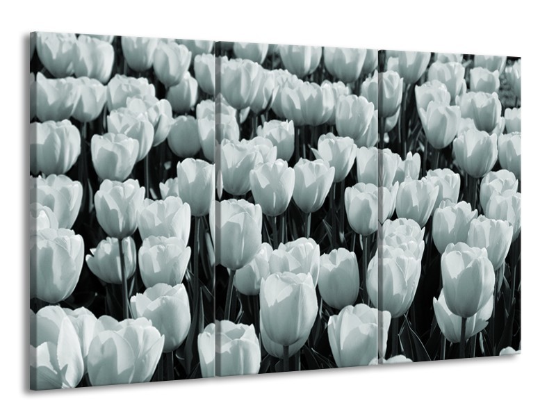 Canvas Schilderij Bloemen, Tulpen | Grijs, Groen | 165x100cm 3Luik