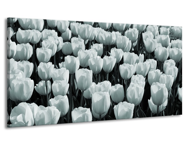 Canvas Schilderij Bloemen, Tulpen | Grijs, Groen | 170x90cm 1Luik