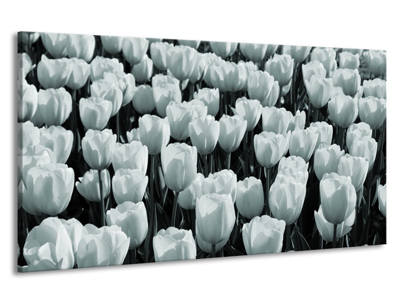 Canvas Schilderij Bloemen, Tulpen | Grijs, Groen | 190x100cm 1Luik