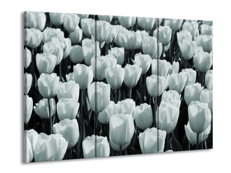 Canvas Schilderij Bloemen, Tulpen | Grijs, Groen | 60x90cm 3Luik