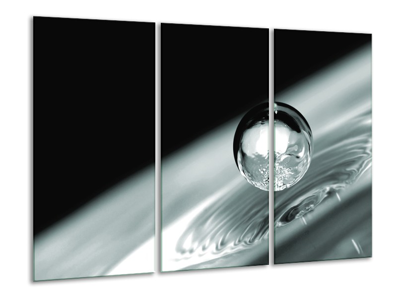 Glasschilderij Macro | Zwart, Grijs, Zilver | 120x80cm 3Luik