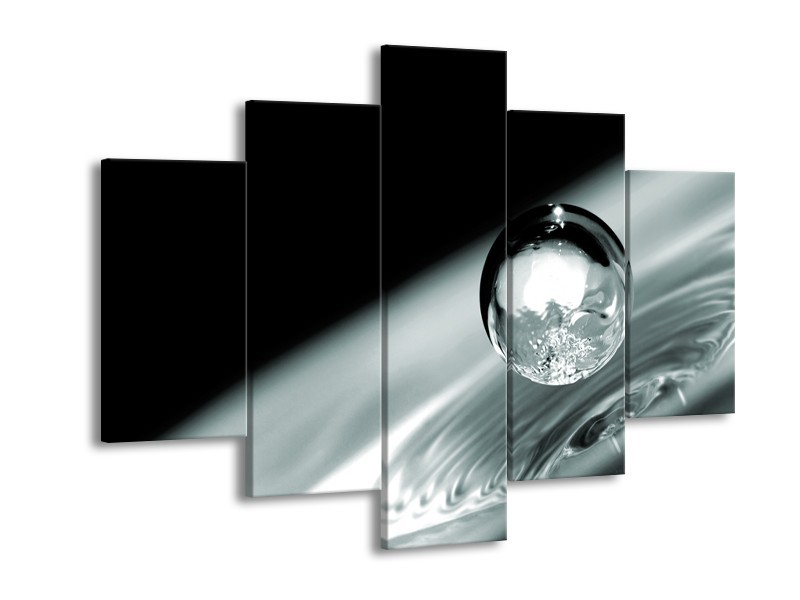 Glasschilderij Macro | Zwart, Grijs, Zilver | 150x105cm 5Luik