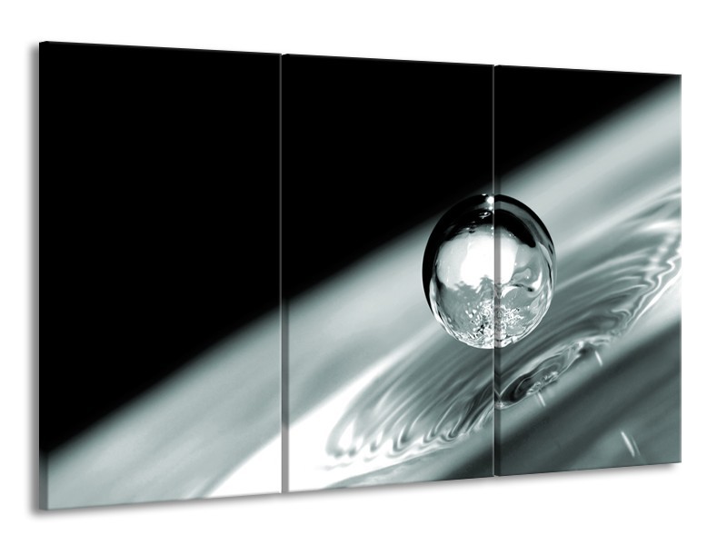 Glasschilderij Macro | Zwart, Grijs, Zilver | 165x100cm 3Luik
