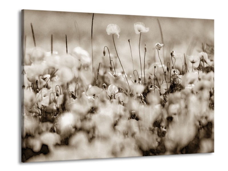 Canvas Schilderij Bloemen | Sepia | 100x70cm 1Luik