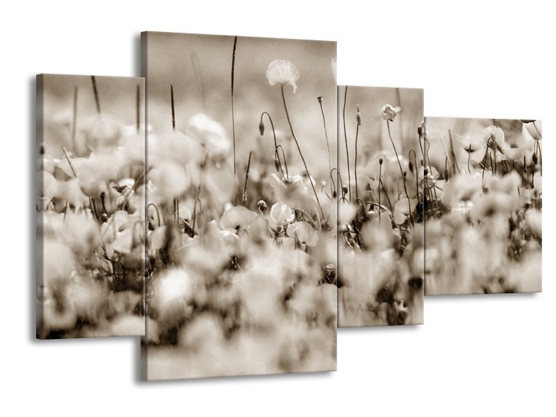 Canvas Schilderij Bloemen | Sepia | 120x75cm 4Luik