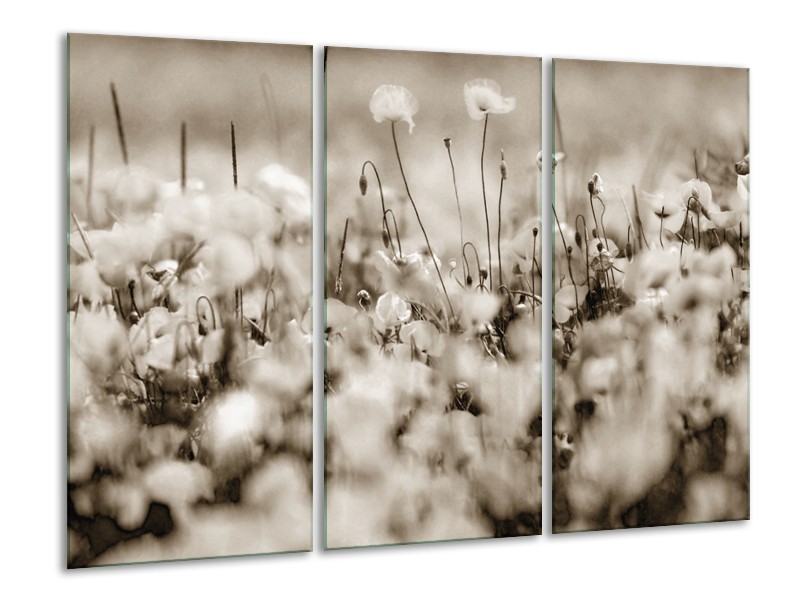 Glasschilderij Bloemen | Sepia | 120x80cm 3Luik