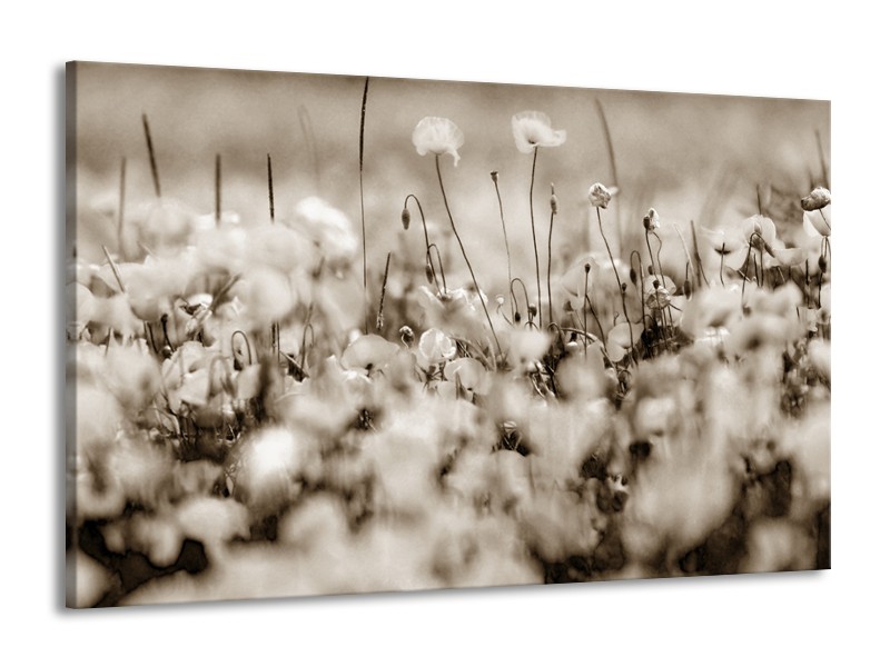 Canvas Schilderij Bloemen | Sepia | 140x90cm 1Luik