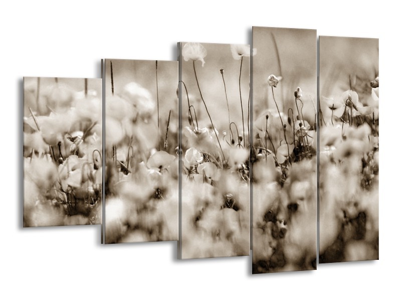 Glasschilderij Bloemen | Sepia | 150x100cm 5Luik