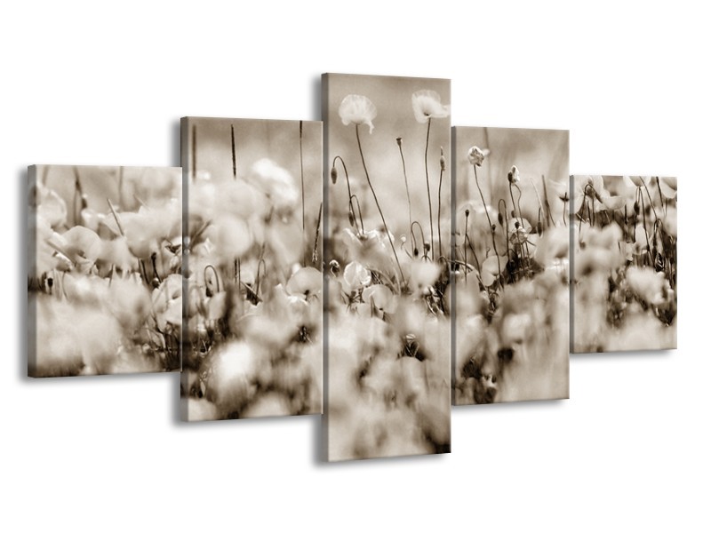 Canvas Schilderij Bloemen | Sepia | 150x80cm 5Luik