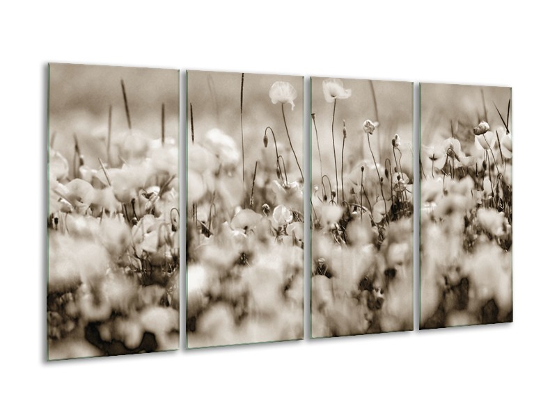 Canvas Schilderij Bloemen | Sepia | 160x80cm 4Luik