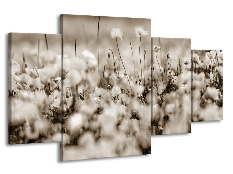 Glasschilderij Bloemen | Sepia | 160x90cm 4Luik