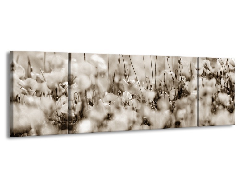 Glasschilderij Bloemen | Sepia | 170x50cm 3Luik