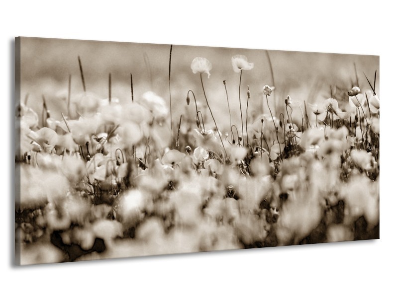 Canvas Schilderij Bloemen | Sepia | 170x90cm 1Luik